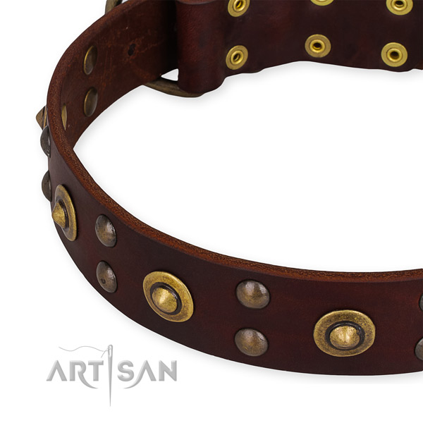 Full grain natural leather collar with corrosion proof buckle for your beautiful doggie