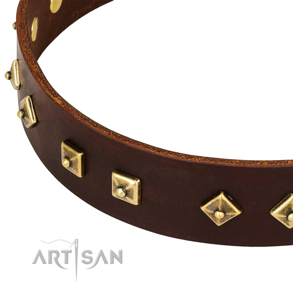 Remarkable full grain genuine leather collar for your attractive four-legged friend