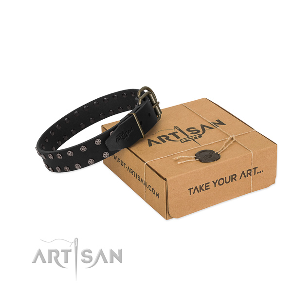 Soft to touch natural leather dog collar with adornments for your stylish canine