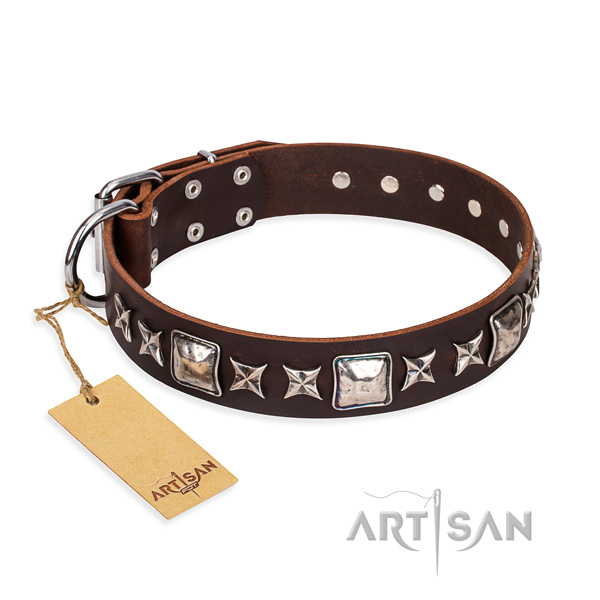 Stylish walking dog collar of top notch natural leather with adornments