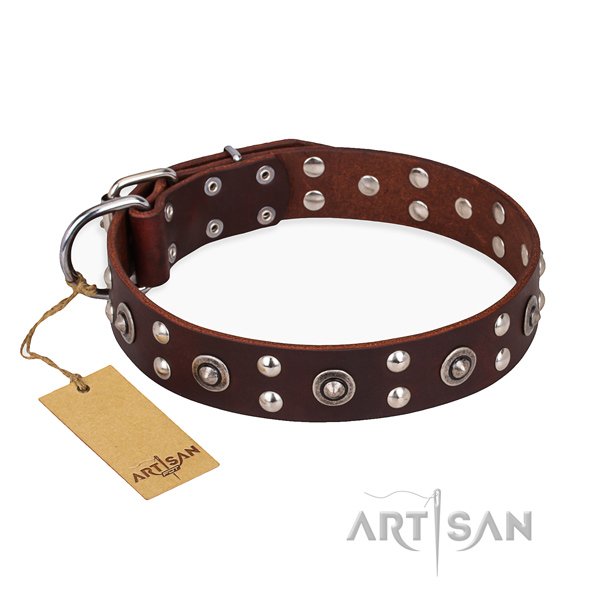 Everyday walking handcrafted dog collar with rust resistant hardware