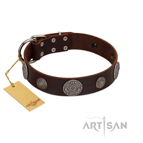 Stylish full grain leather collar for your attractive dog