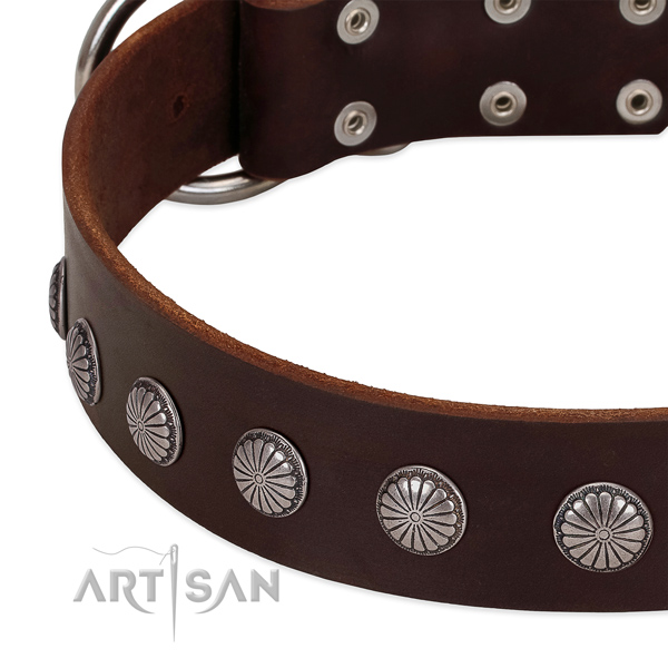 Reliable genuine leather dog collar with decorations for daily walking