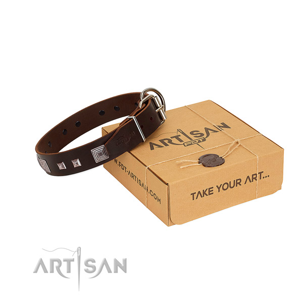 Amazing full grain natural leather collar with adornments for your canine