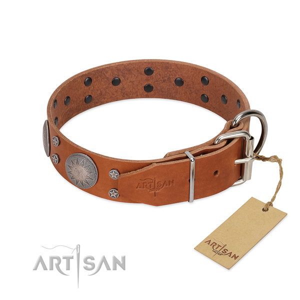 Reliable D-ring on full grain genuine leather dog collar for walking