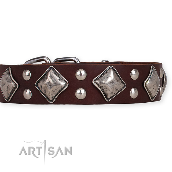 Full grain leather dog collar with stunning durable decorations