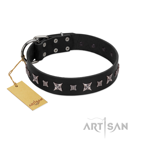 Top notch leather collar for your impressive doggie