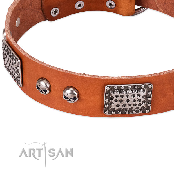 Corrosion resistant adornments on full grain leather dog collar for your canine