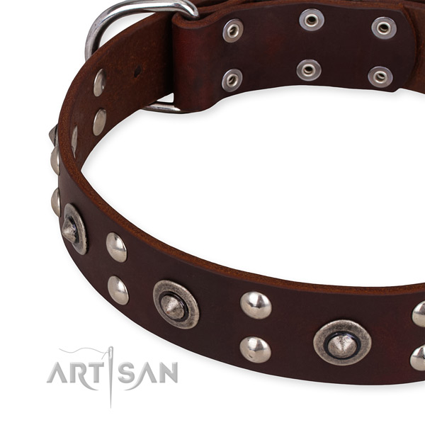 Full grain genuine leather collar with corrosion resistant D-ring for your beautiful pet