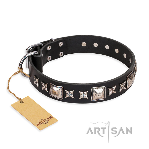 Handy use dog collar of finest quality natural leather with decorations