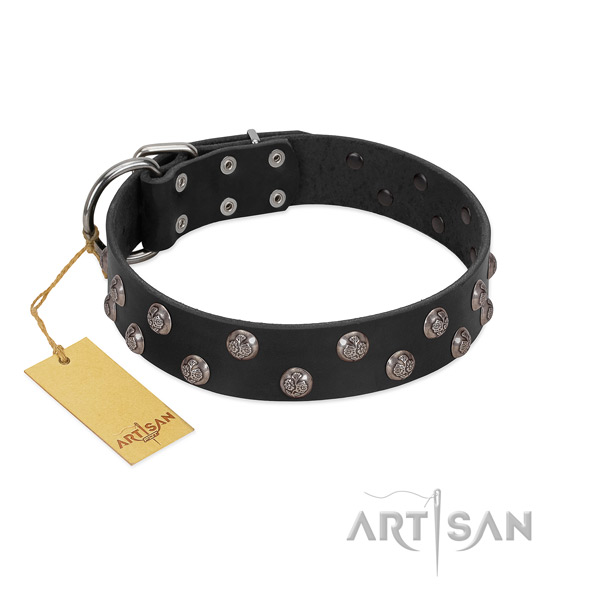 High quality natural leather dog collar with studs