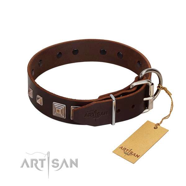 Daily walking natural leather dog collar with awesome embellishments