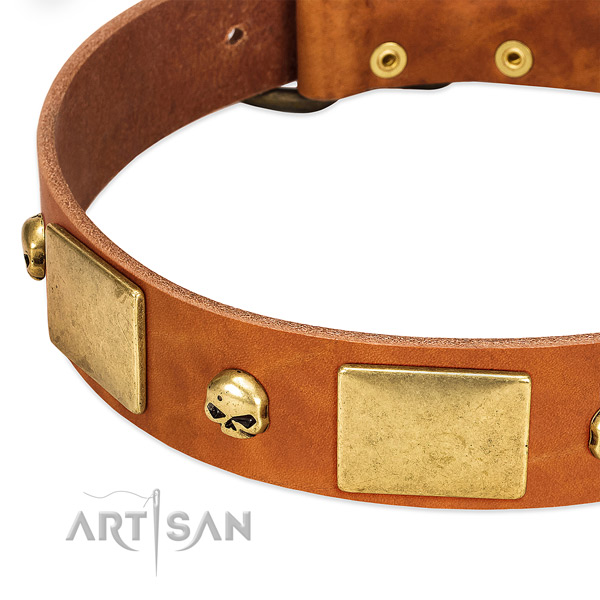Quality full grain natural leather dog collar with rust-proof traditional buckle