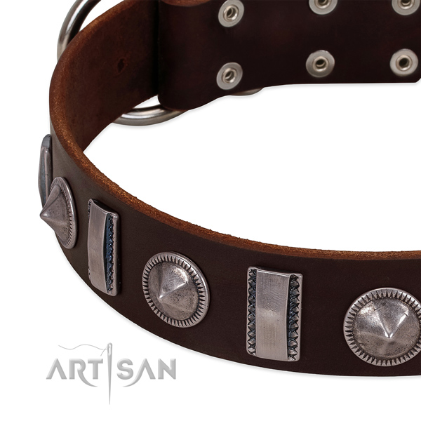 Designer embellished full grain leather dog collar for daily walking