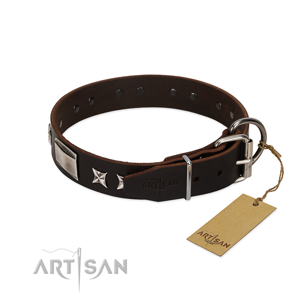 Remarkable collar of full grain natural leather for your impressive doggie