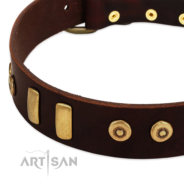 Reliable full grain natural leather collar with top notch embellishments for your dog