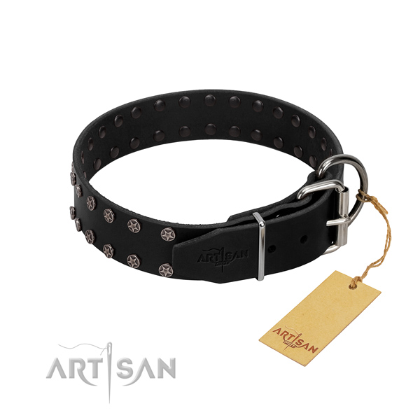 Quality genuine leather dog collar with embellishments for your dog