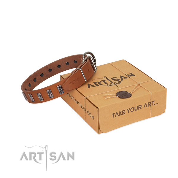 Strong hardware on full grain genuine leather dog collar for stylish walking your four-legged friend