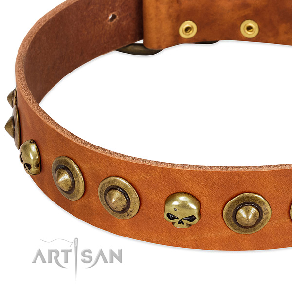Amazing embellishments on full grain natural leather collar for your canine