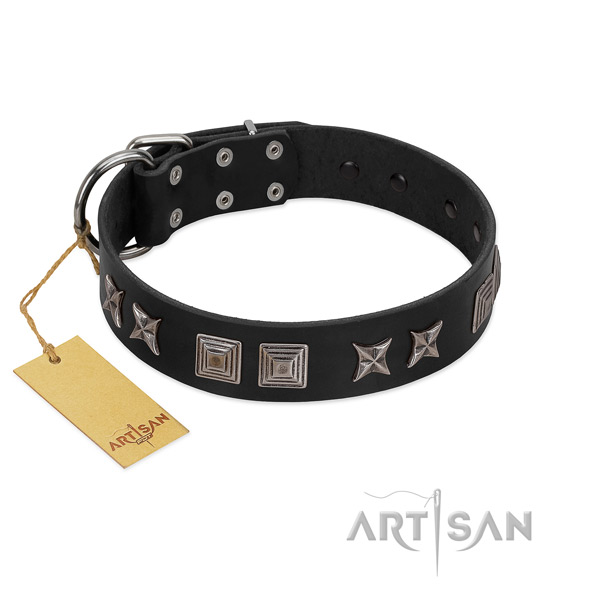 Leather dog collar with remarkable embellishments handcrafted dog