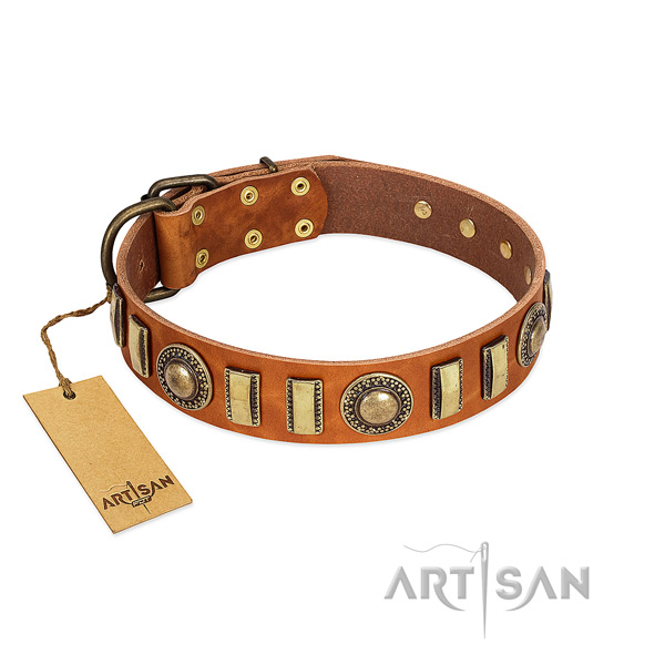 Perfect fit genuine leather dog collar with strong traditional buckle