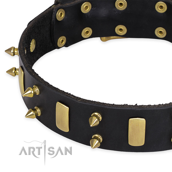 Daily use adorned dog collar of strong full grain natural leather