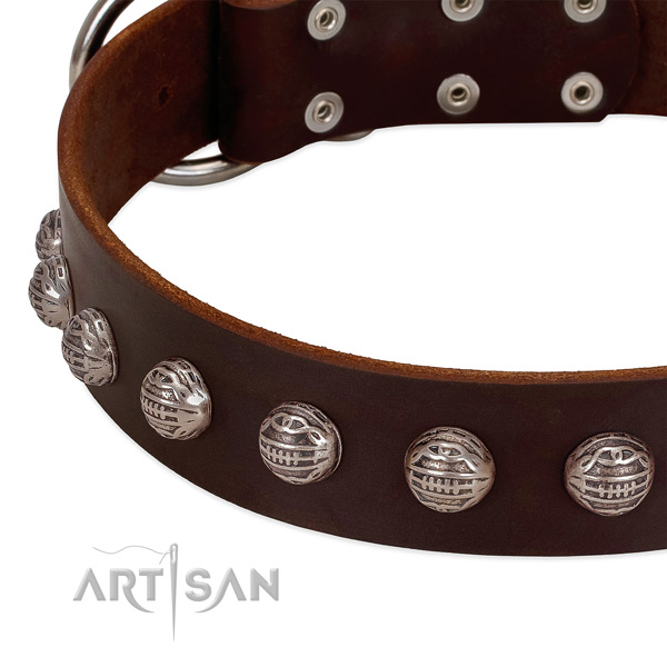Incredible full grain genuine leather dog collar with durable decorations