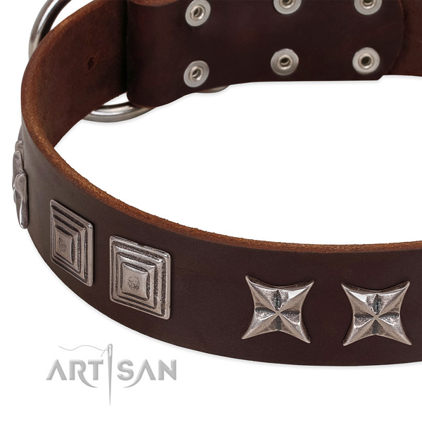 Daily use natural leather dog collar with incredible embellishments