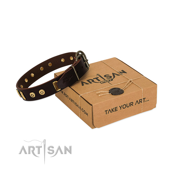 Leather dog collar with impressive adornments for easy wearing