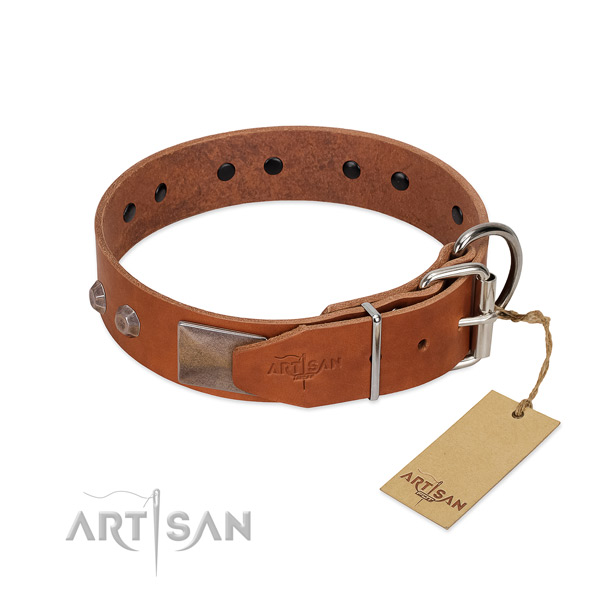 Unusual full grain natural leather dog collar for walking in style your doggie