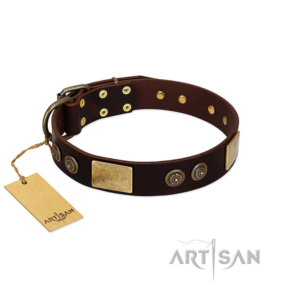 Durable decorations on full grain natural leather dog collar for your pet