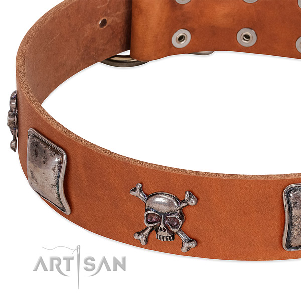 Reliable traditional buckle on leather dog collar
