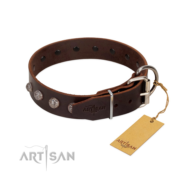 Full grain leather dog collar of reliable material with stunning studs
