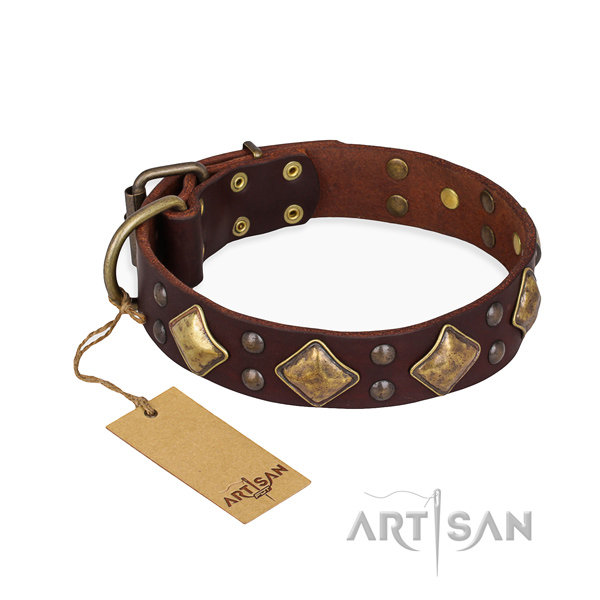Everyday walking easy to adjust dog collar with rust resistant fittings