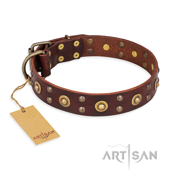 Stylish full grain natural leather dog collar with durable hardware