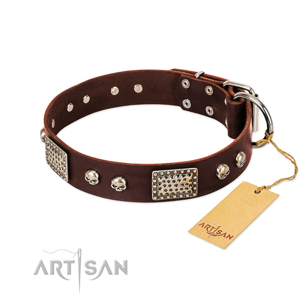 Adjustable full grain leather dog collar for everyday walking your four-legged friend
