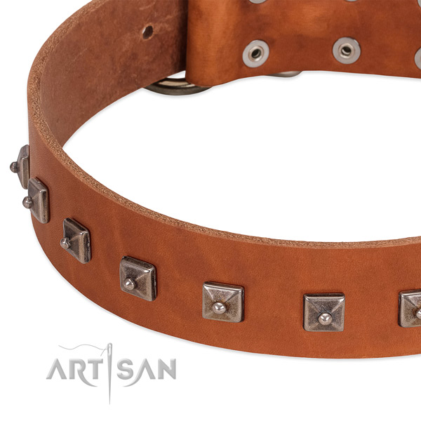 Soft full grain leather dog collar with inimitable embellishments