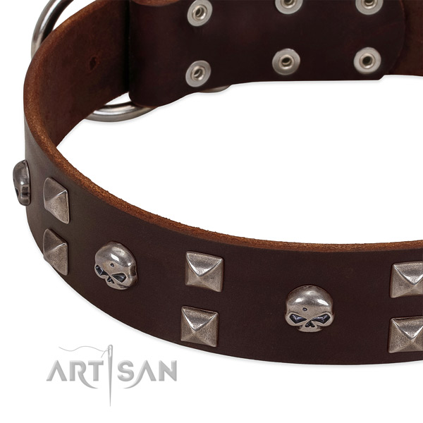 Best quality full grain natural leather dog collar crafted for your four-legged friend