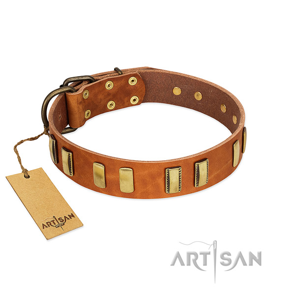 Top rate full grain natural leather dog collar with corrosion resistant fittings
