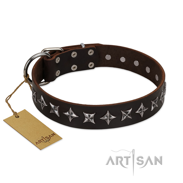 Fancy walking dog collar of strong natural leather with decorations
