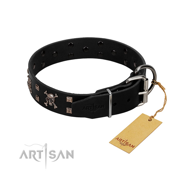 Top notch leather dog collar with corrosion resistant decorations