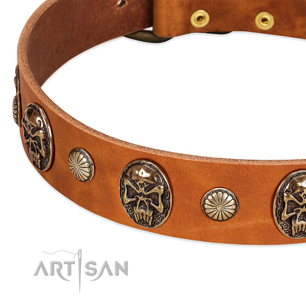 Rust resistant studs on natural genuine leather dog collar for your pet