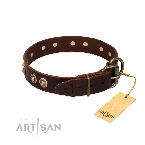 Corrosion resistant adornments on full grain natural leather dog collar for your pet