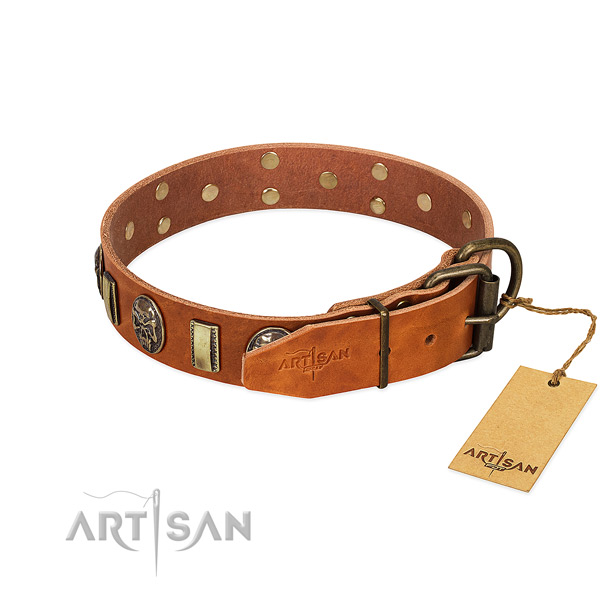Rust-proof fittings on genuine leather collar for stylish walking your doggie