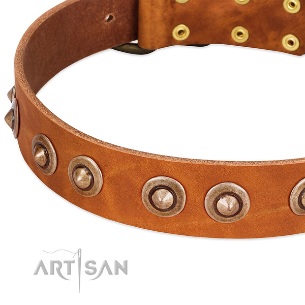 Durable embellishments on leather dog collar for your pet
