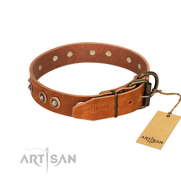 Durable traditional buckle on full grain leather dog collar for your dog