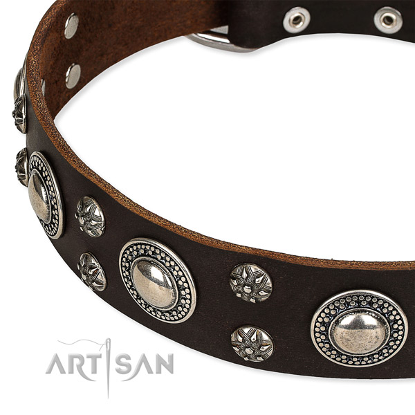 Comfortable wearing studded dog collar of fine quality leather