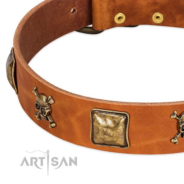 Extraordinary full grain leather dog collar with rust-proof embellishments