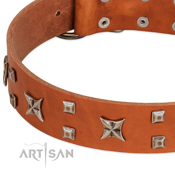 Best quality natural leather dog collar with adornments for easy wearing
