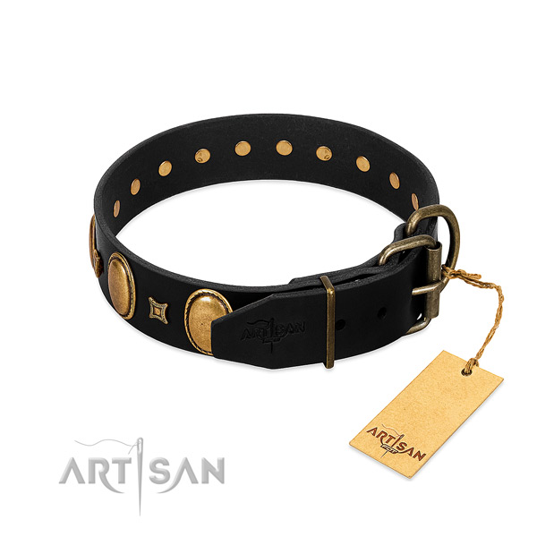 Strong adornments on walking dog collar